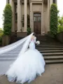 Trumpet/Mermaid Off-the-Shoulder 1/2 Sleeves Exquisite Sweep Train Tulle Wedding Dress With Lace
