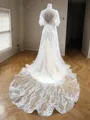 A-line Princess V-Neck Short Sleeves Sweep Train Tulle Flowing Wedding Dress With Applique