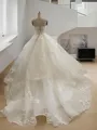 Fairy-tale Ball-Gown Sweetheart Sleeveless Chapel Train Organza Wedding Dress With Applique