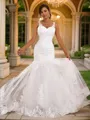 Trumpet/Mermaid V-Neck Sleeveless Sweep Train Captivating Lace Wedding Dresses