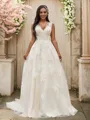 A-line V-Neck Sleeveless Sweep Train Tulle Unique Wedding Dresses