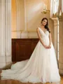 A-line V-Neck Perfect Sleeveless Cathedral Train Tulle Wedding Dresses
