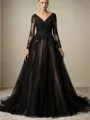 Princess A-line V-neck Long Sleeves Court Train Tulle Black Wedding Dress With Appliques Lace