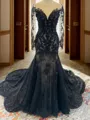 Trumpet/Mermaid Alluring Bateau Long Sleeves Cathedral Train Tulle Black Wedding Dress With Appliques Lace