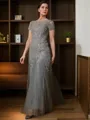 A-line Scoop Tasteful Short Sleeves Floor-Length Tulle Mother of the Bride Dress