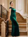 Sheath/Column V-Neck Flattering Sleeveless Floor-Length Velvet Mother of the Bride Dresses