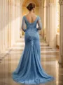 Sheath/Column V-Neck Impeccable Long Sleeves Sweep Train Tulle Mother of the Bride Dresses