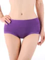 Simple Modal Seamless Plus Size Panties