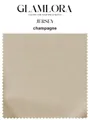 Jersey Fabric Color Swatch