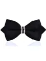 Modern Polyester Bow Tie