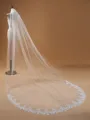 Elegant Tulle With Lace Wedding Veils