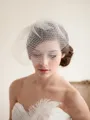 Awesome One-tier Birdcage Veils