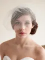 Awesome One-tier Birdcage Veils