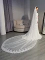 Unique Tulle With Applique Long Wedding Veils