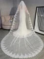 Unique Tulle With Applique Long Wedding Veils