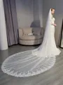Unique Tulle With Applique Long Wedding Veils