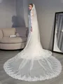 Unique Tulle With Applique Long Wedding Veils