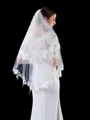 Elegant Tulle With Applique Wedding Veils
