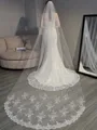 Gorgeous Tulle With Lace Long Wedding Veils
