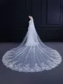 Trending Tulle With Lace Long Wedding Veils