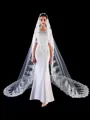 Unique Tulle With Applique Long Wedding Veils