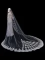 Unique Tulle With Applique Long Wedding Veils
