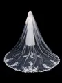 Graceful Tulle With Applique Long Wedding Veils