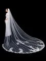 Graceful Tulle With Applique Long Wedding Veils