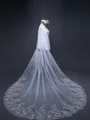Fashion Tulle With Lace Long Wedding Veils