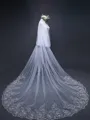 Fashion Tulle With Lace Long Wedding Veils
