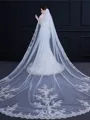 Graceful Tulle One-Tier Cathedral Bridal Veils With Applique