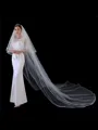 Fancy Tulle Two-Tier Cathedral Bridal Veils