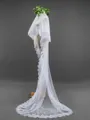 Graceful 2 Layer Tulle With Lace Long Wedding Veils