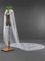 Fancy Tulle With Lace Long Wedding Veils