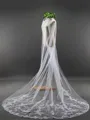 Fancy Tulle With Lace Long Wedding Veils