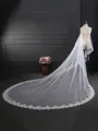 Fashion 2 Layer Tulle With Lace Long Wedding Veils