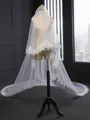 Fashion 2 Layer Tulle With Lace Long Wedding Veils