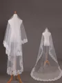 Pretty Tulle With Lace Long Wedding Veils