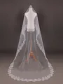 Pretty Tulle With Lace Long Wedding Veils