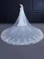 Elegant Tulle With Lace Long Wedding Veils
