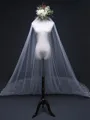 Elegant Tulle With Lace Long Wedding Veils