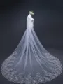 Elegant Tulle With Lace Long Wedding Veils