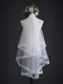 Beautiful Tulle With Lace Long Wedding Veils