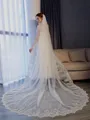 Gorgeous Tulle With Lace Long Wedding Veils