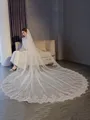 Gorgeous Tulle With Lace Long Wedding Veils