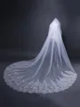 Graceful Tulle With Lace Long Wedding Veils