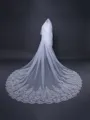 Graceful Tulle With Lace Long Wedding Veils