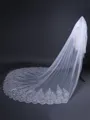 Graceful Tulle With Lace Long Wedding Veils