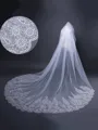 Graceful Tulle With Lace Long Wedding Veils