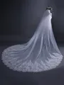 Graceful Tulle With Lace Long Wedding Veils